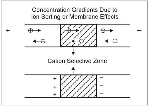 Nometallic induced Polarization agent.