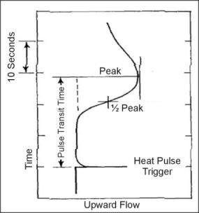 Analog record of a heat pulse from a thermal flowmeter. (Hess, 1982)