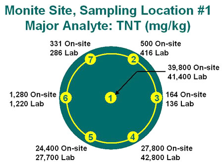 Figure 7.1.  Example of spatial distribution of energetic residues in surface soils. Samples taken around and in the middle of a 1-meter diameter circle.