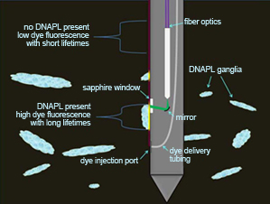 DyeLIF™ Probe