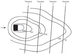 Figure 10. Transects on a Contaminant Contour Map
