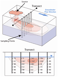 Figure 5. Multilevel Sampling Transect Results (Source: ITRC 2010)