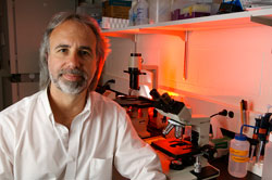 Dr. Norbert Kaminski