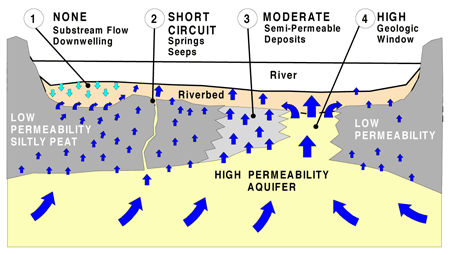 Figure 2. Groundwater discharge to a river through a heterogeneous subsurface.
