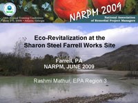 Eco-Revitalization at the Sharon Steel Farrell Works Site