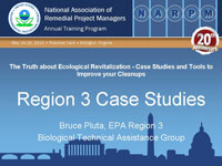 Region 3 Case Studies