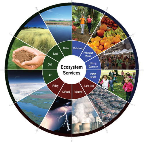 Ecosystem Services Illustration