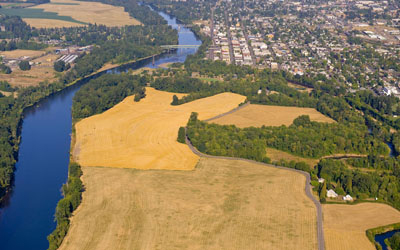 Example of a Freshwater Ecosystem