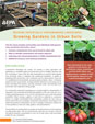 Urban Garden Factsheet