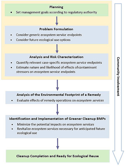 Design, Construction, and Operations Ecosystem Services