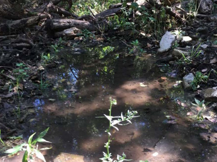 Former Grove Landfill Seepage Collection and Diversion