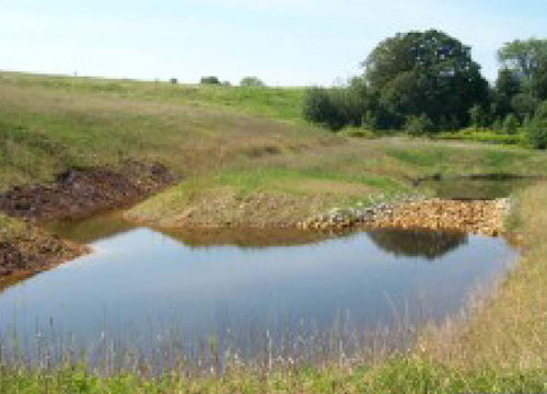 De Sale Restoration Area Forebay at De Sale Phase 3