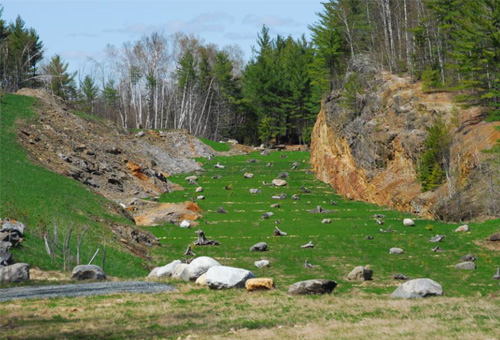 Elizabeth Mine Habitat Creation