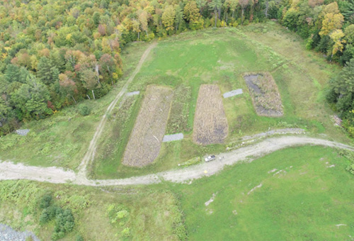 Elizabeth Mine Wetland Restoration