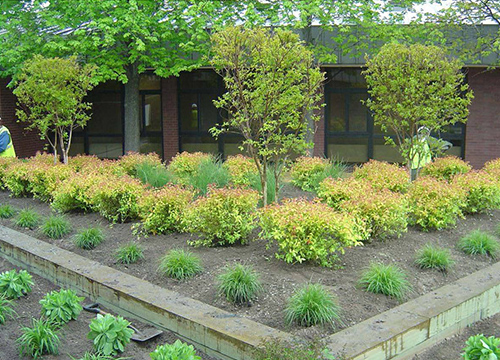 Curtis Bay Coast Guard Yard Planter Boxes