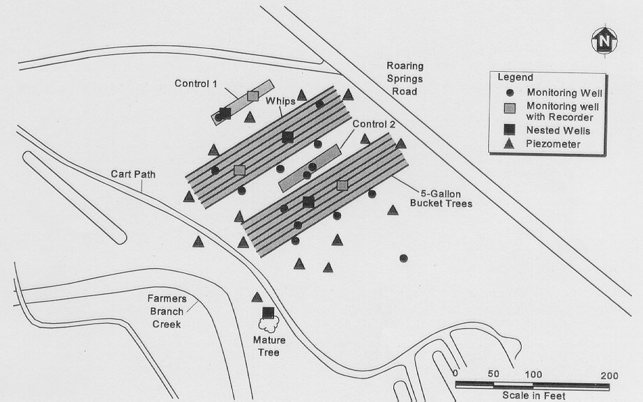 Air Force Plant 4 Phytoremediation Site Layout, Carswell Air Force Base - Ft. Worth, TX