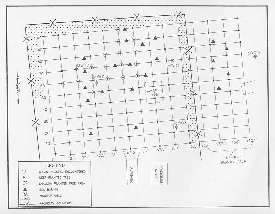 Edward Sears Property Tree Planting Layout