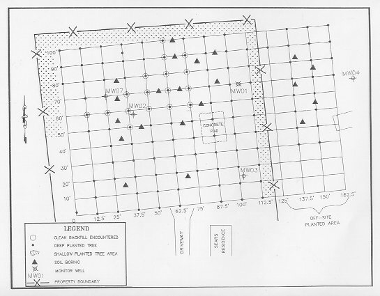 Edward Sears Property Tree Planting Layout