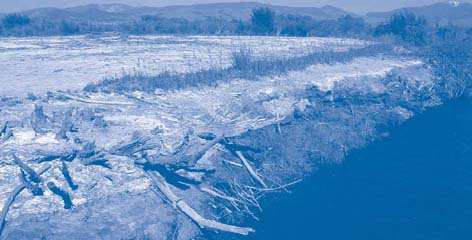 Figure 3. Remediation activities along the Clark Fork River will reflect RipES results with emphasis on those areas most in jeopardy of erosion into the river channel, such as this stream bank with active erosion.