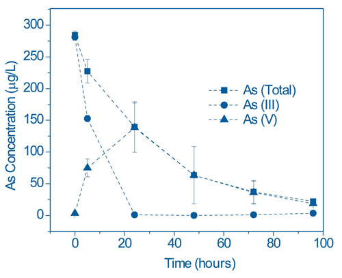 Figure 3. Tests using Pteris cretica showed that As(III) must be oxidized to As(V) before it can be taken up by the plant.