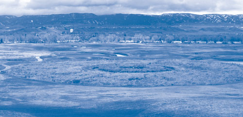 Figure 4. After two years of growth, plants covered approximately 50% of the radial-flow engineered wetland at the BP site outside Casper.