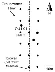 Plan view showing the biowall (dashed lines) and the monitoring network.