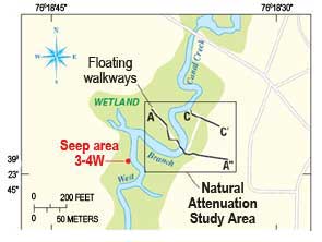 Seep area 3-4W along West Branch Canal Creek at APG.