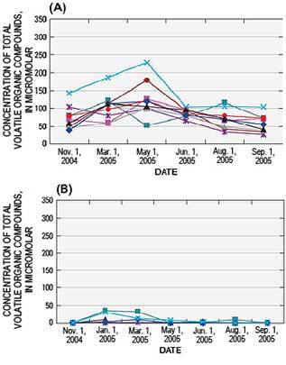 Seasonal changes in total VOC concentration below the reactive mat (A) and in the middle of the mat (B). Individual symbols indicate measurements at different sampling locations in the mat.