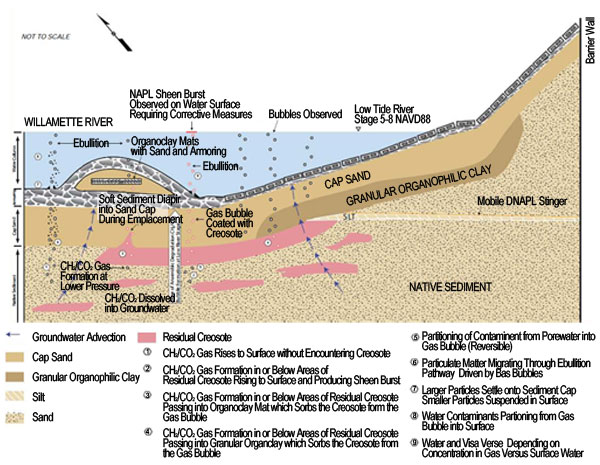 Conceptual Model of Contaminant Transport at the McCormick & Baxter site.