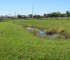 Figure 1. A stormwater retention pond at the Sanford site helps prevent soil erosion.