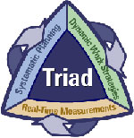 Triad logo