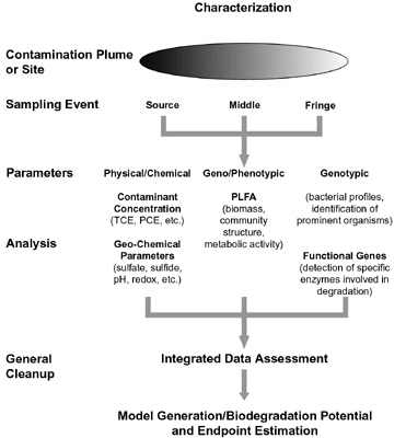 Figure 2:  Integrated Approach to Determining Bioremediation Potential