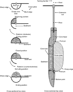 Figure 8. Russian Peat Borer.