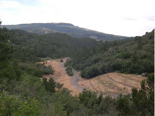 Site before Stream Restoration - Yankee-Vukonich Coal Reclamation Project, Colfax County, New Mexico (Source: New Mexico Mining and Minerals Division)